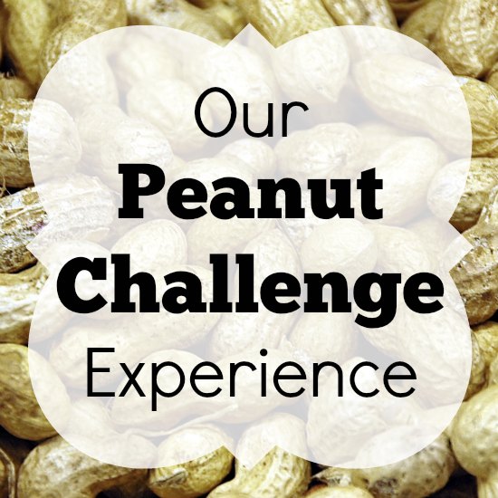 Peanut Challenge Experience