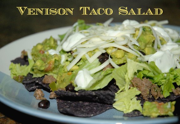 Venison Taco Salad