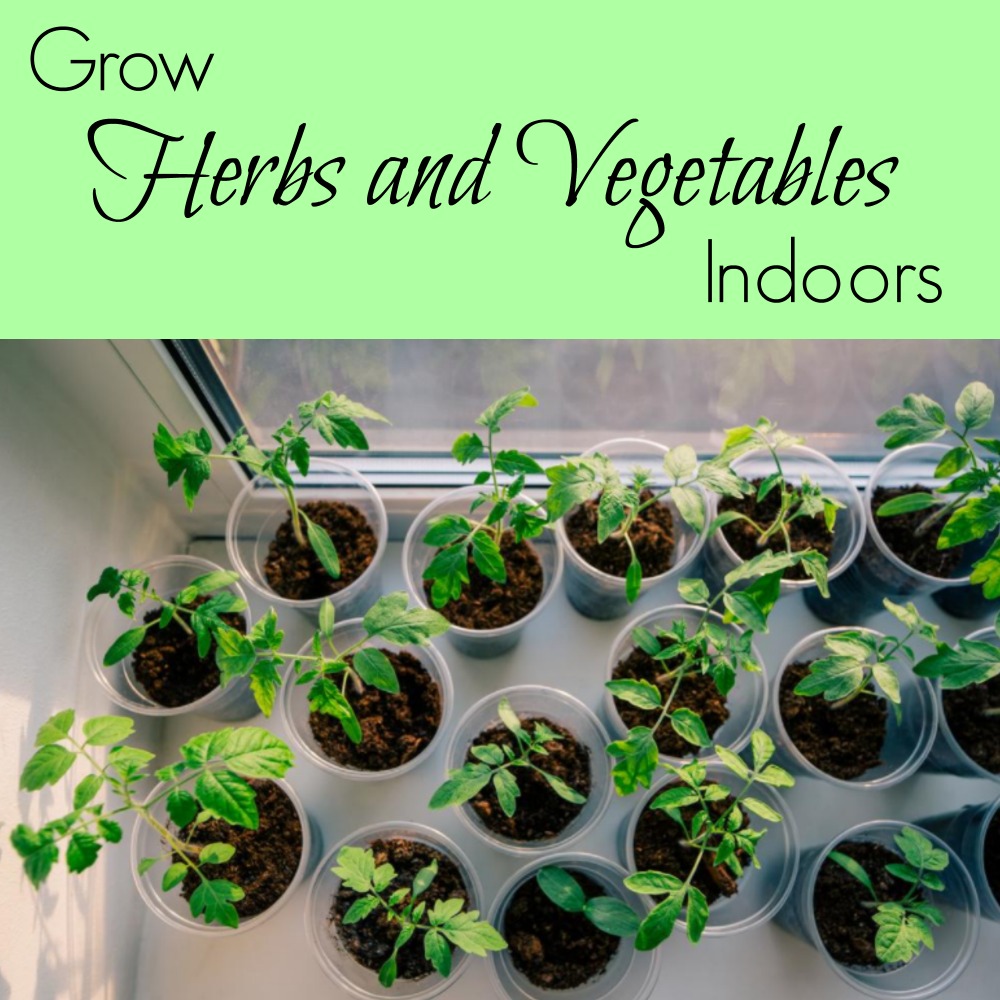 Grow Herbs and Vegetables Indoors
