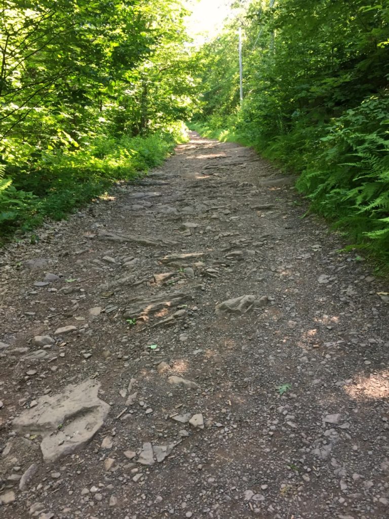 Overlook Mountain Trail