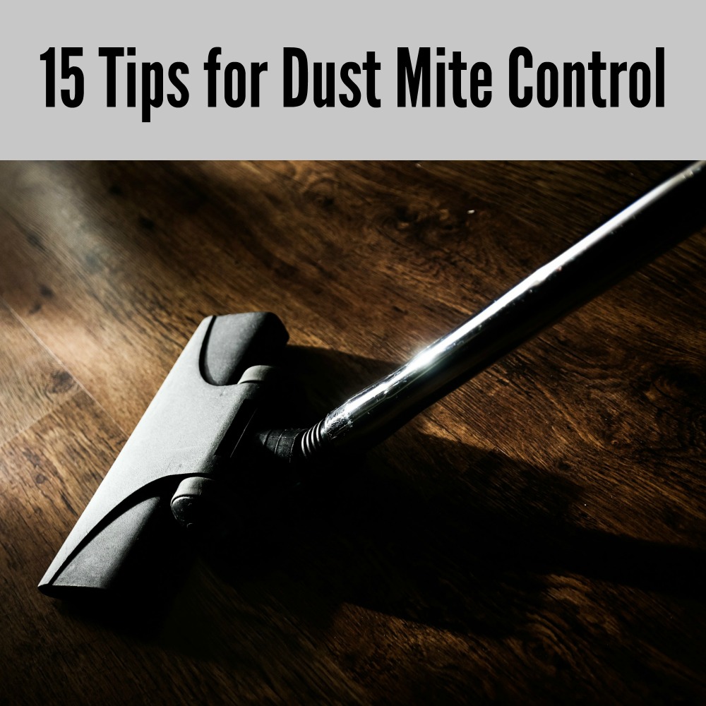 15 Tips for Dust Mite Control