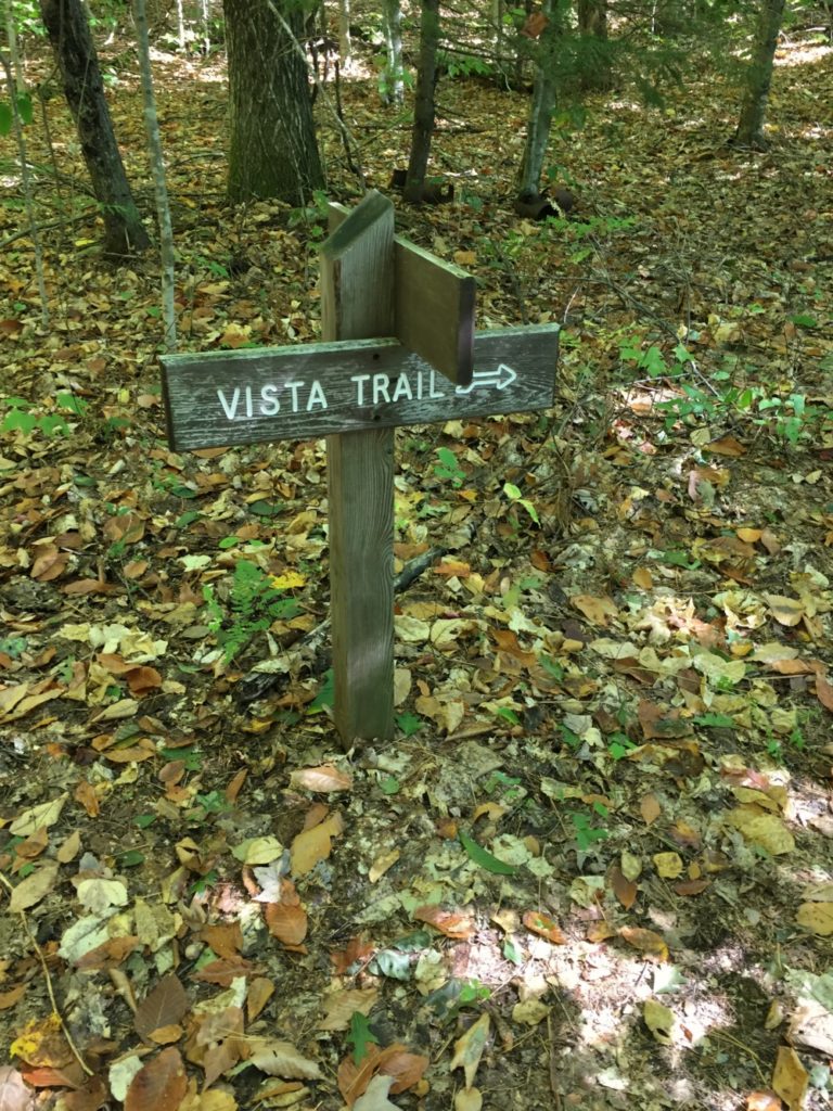 Echo Lake Vista Trail