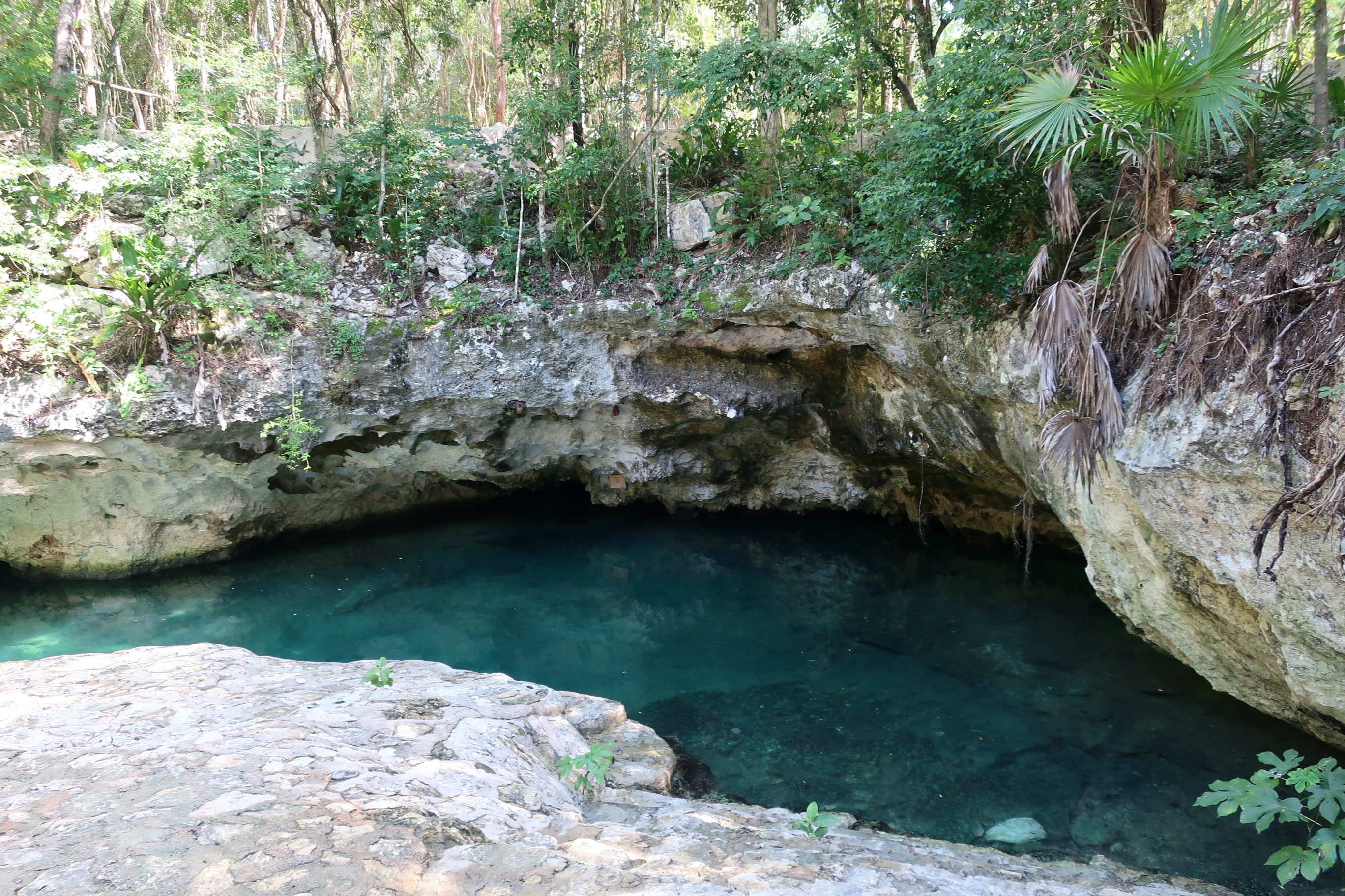 Casa Tortuga Cenote Caracol
