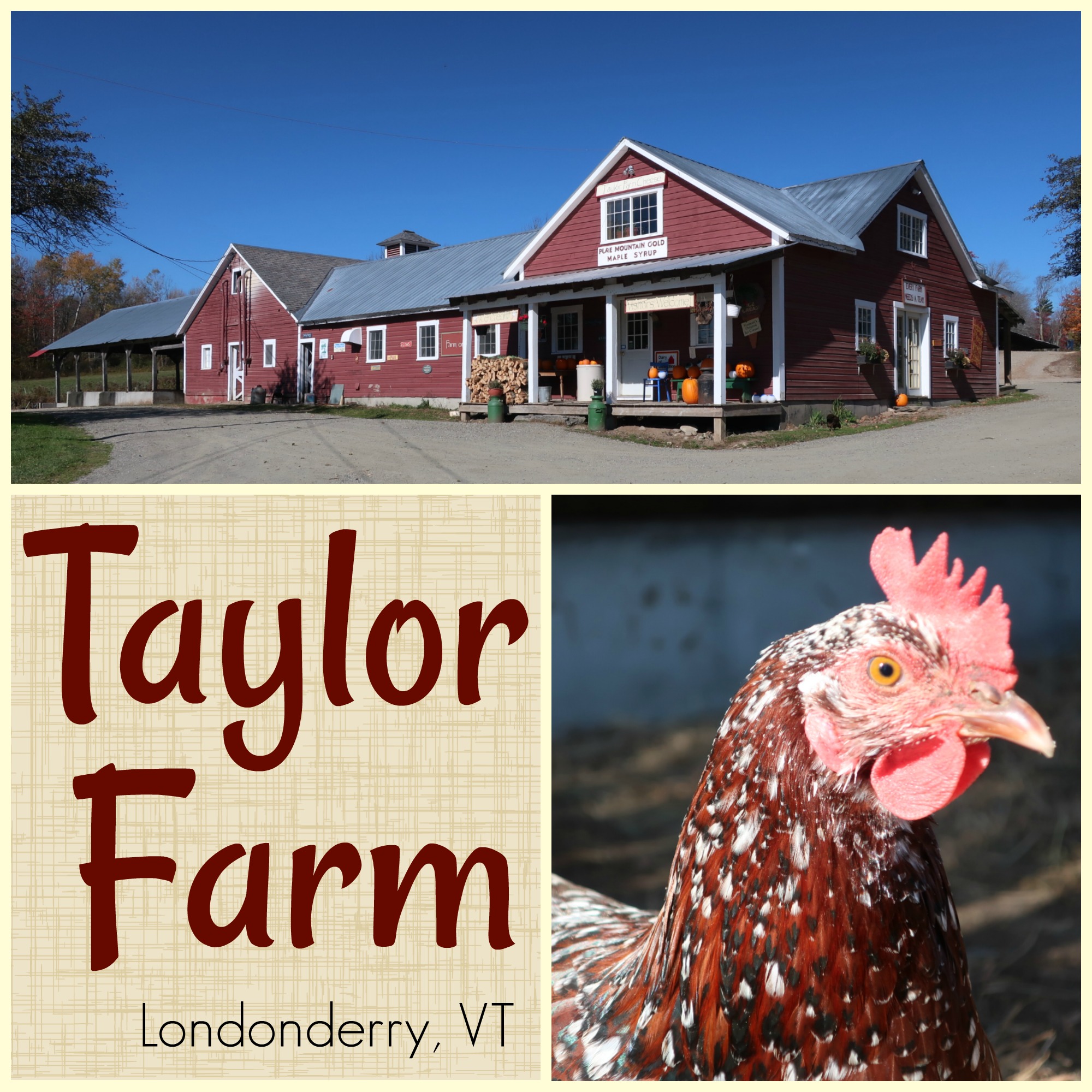 Taylor Farm