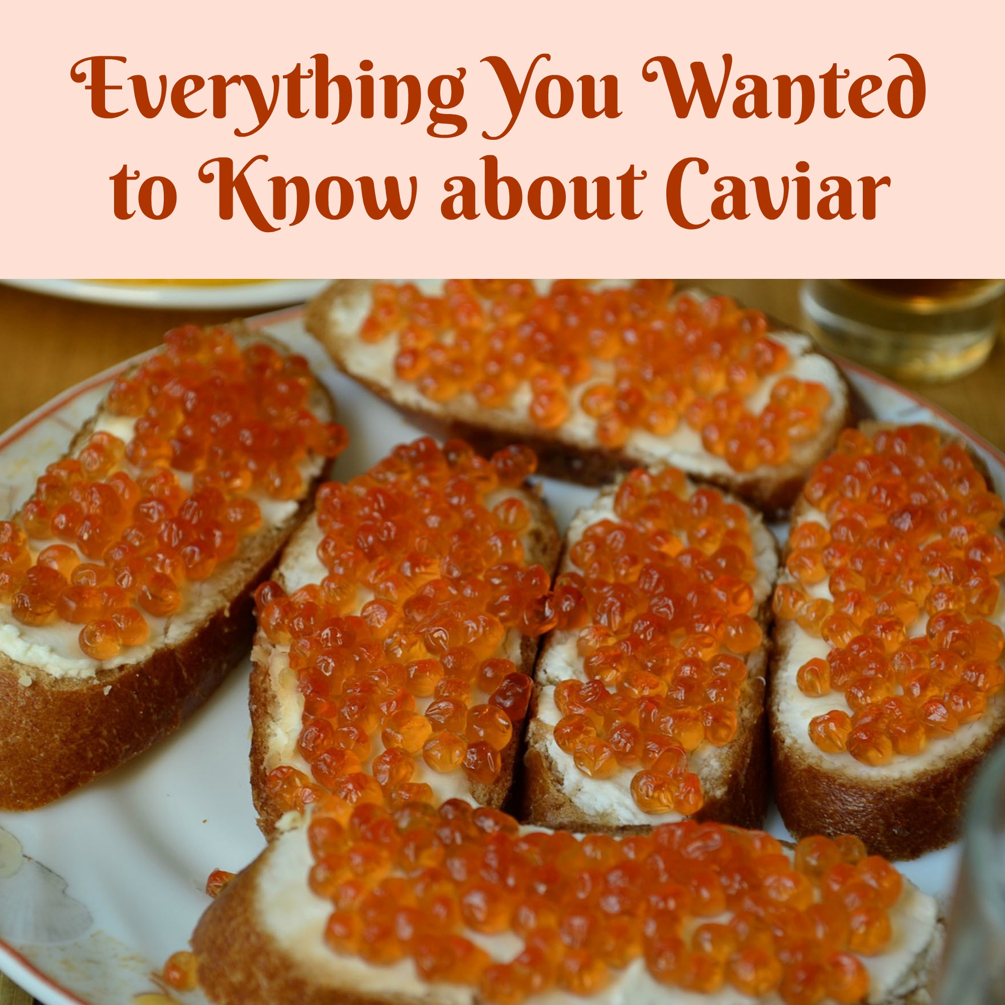 Everything You Wanted to Know about Caviar