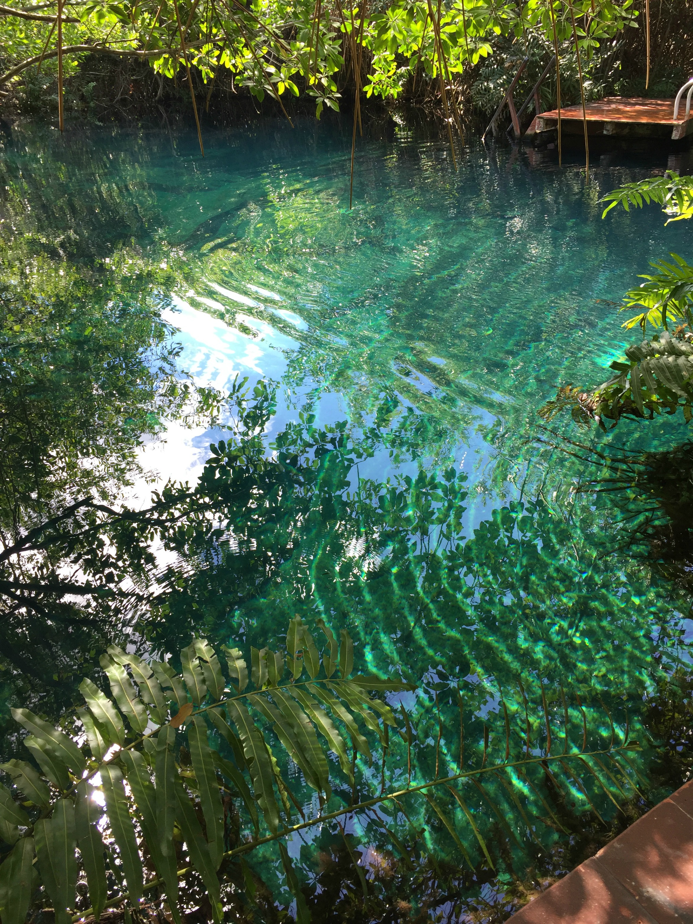 Hacienda Tres Rios Cenote