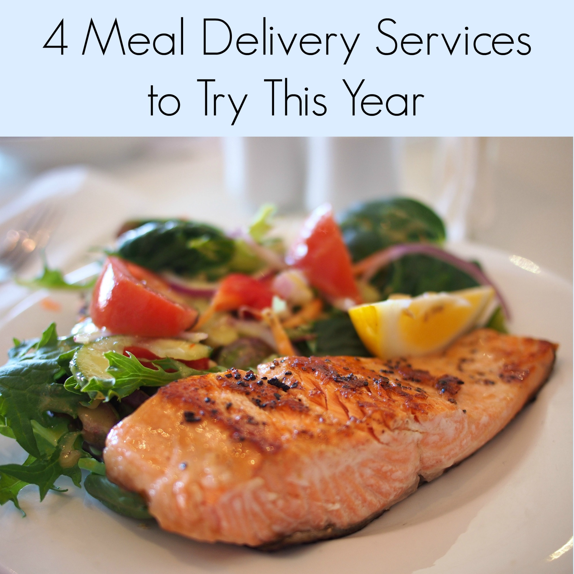 Meal Delivery Services