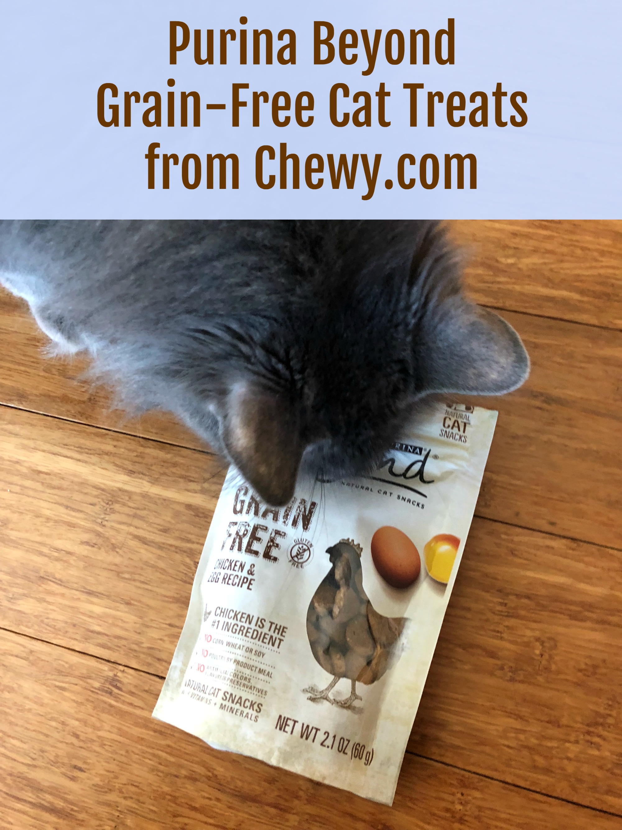 Purina Beyond Cat Treats Chewy.com