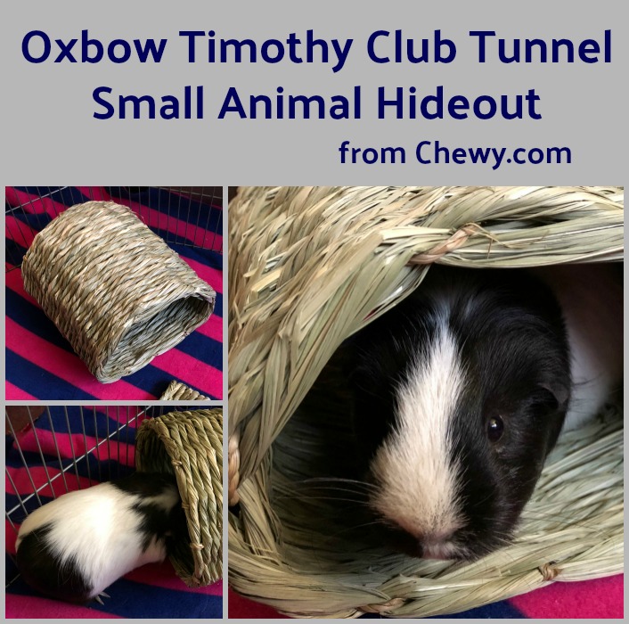 Chewy Oxbow Small Animal House