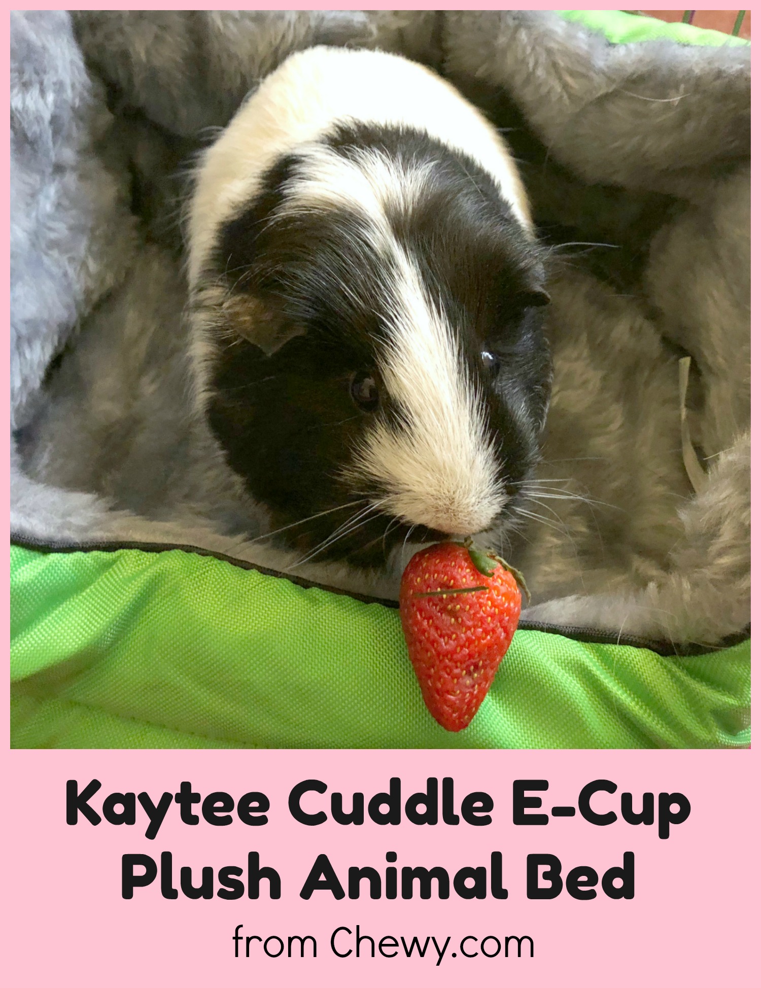 Oxbow Kaytee Cuddle E Cup Small Animal Bed