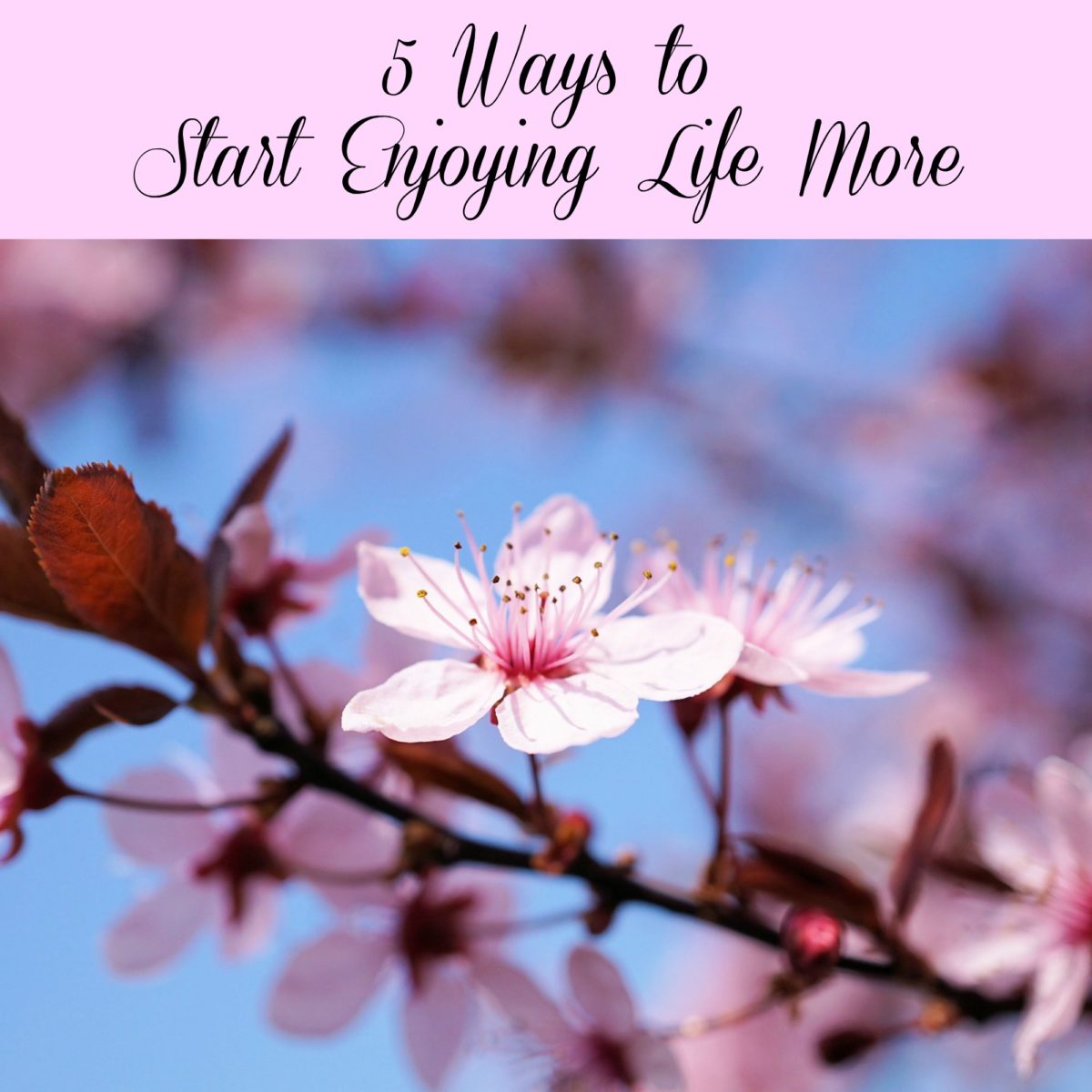5 Ways to Start Enjoying Life More