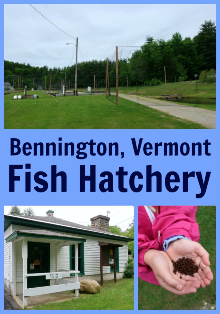 Bennington Vermont Fish Hatchery