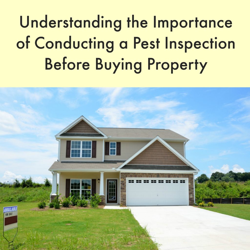 Understanding The Importance of Conducting A Pest Inspection Before Buying Property