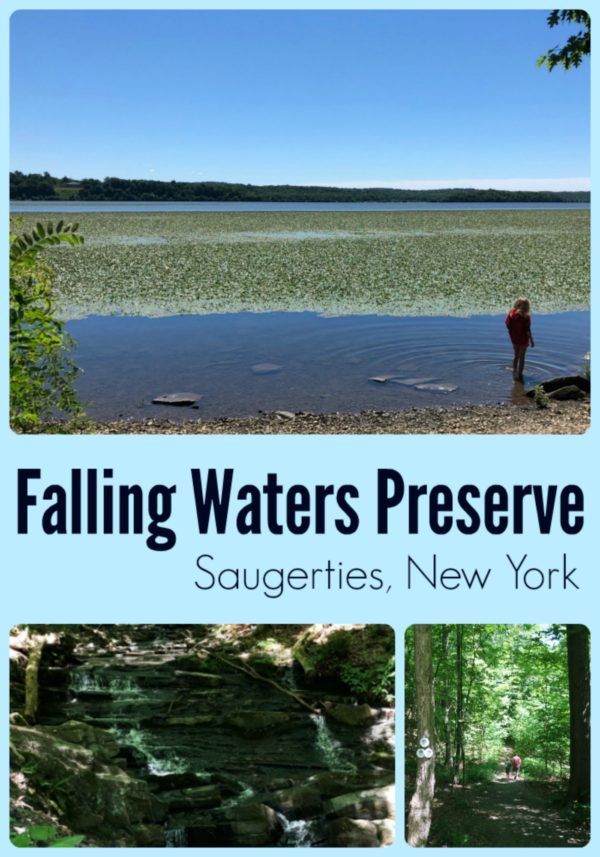 Falling Waters Preserve