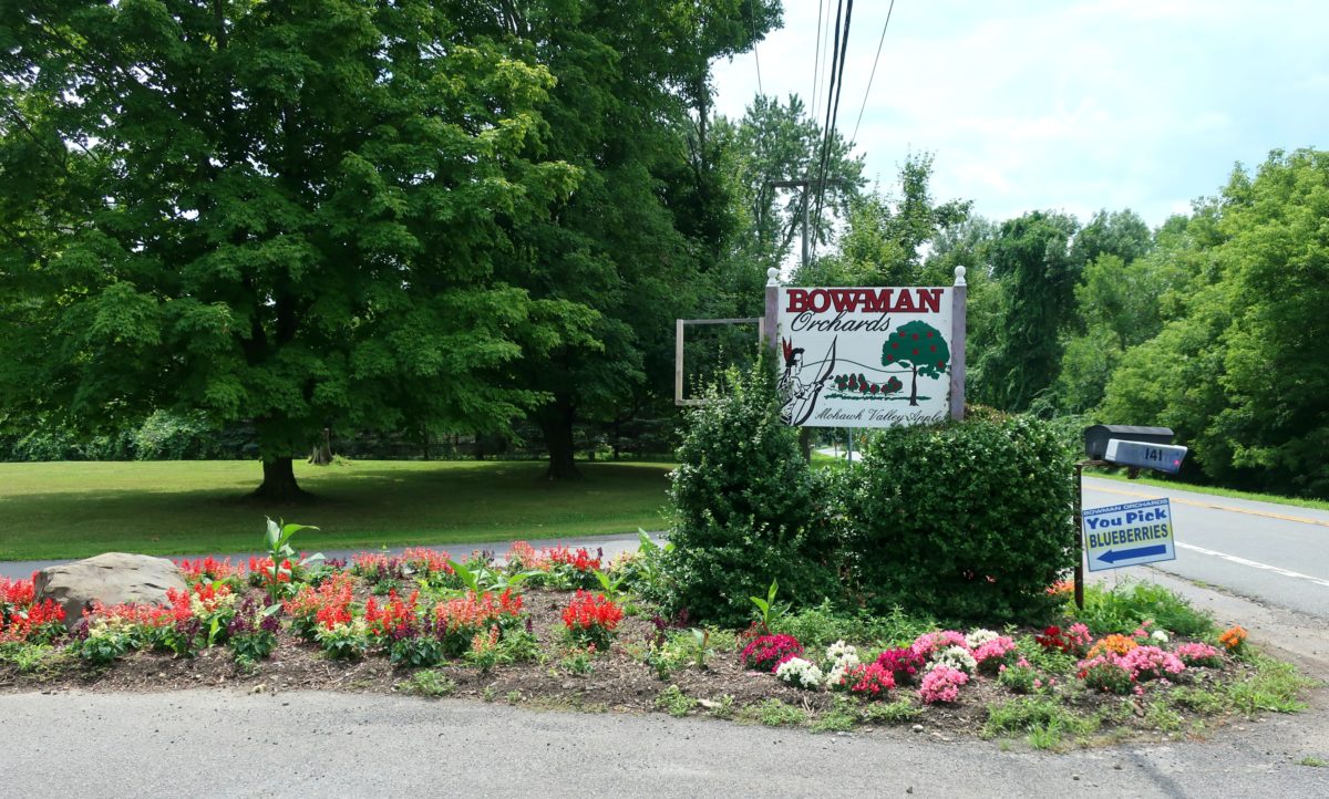 Bowman Orchards, Rexford, New York