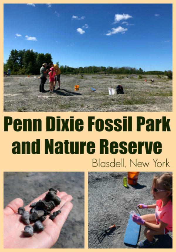 Penn Dixie Fossil Park