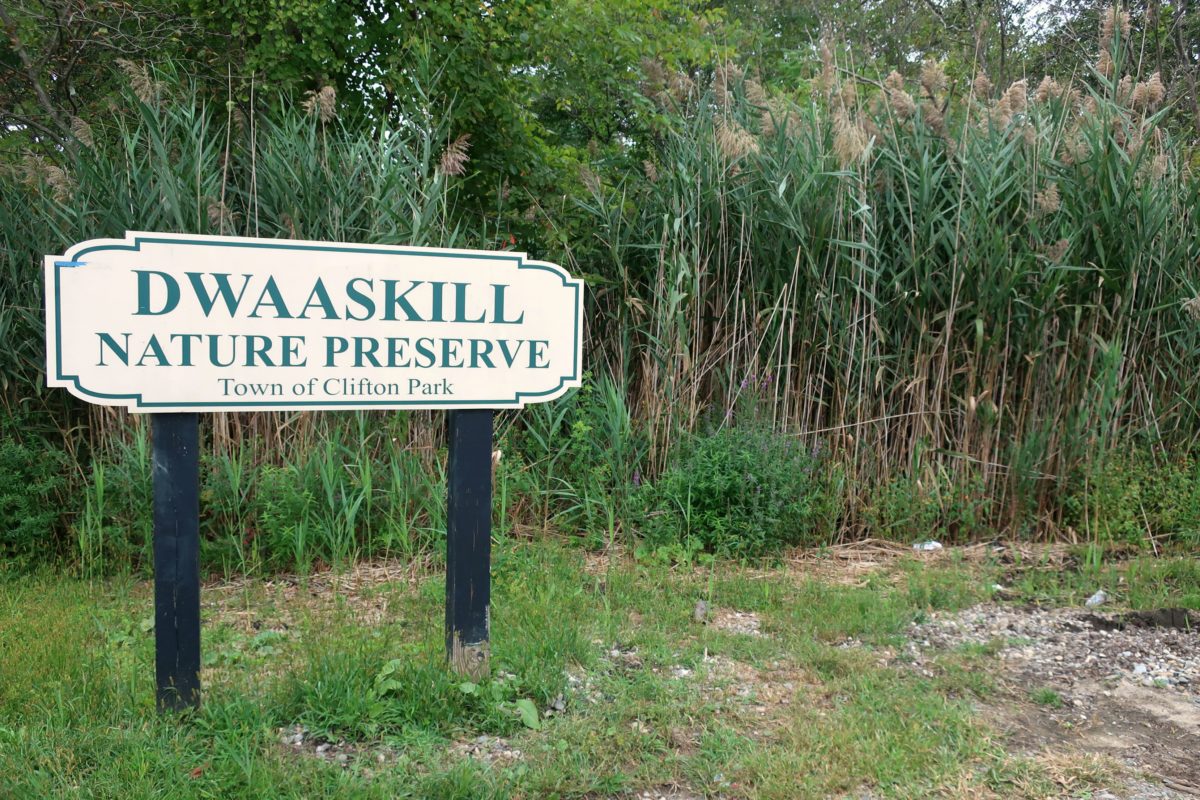 Dwaas Kill Nature Preserve, Clifton park