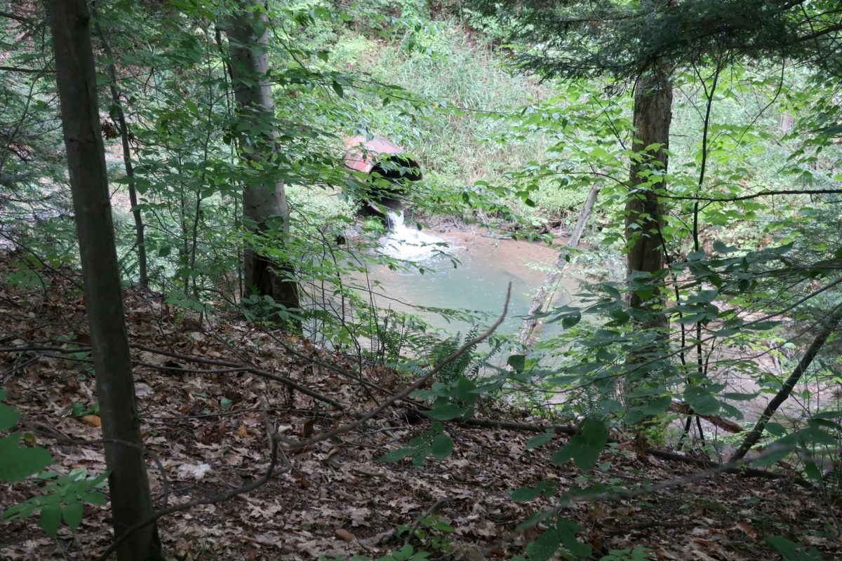 Dwaas Kill Nature Preserve Clifton Park New York