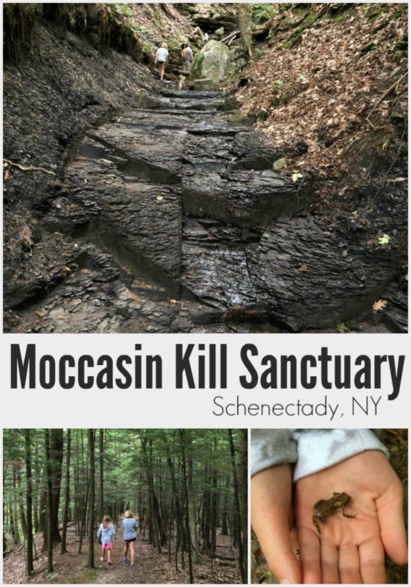 Moccasin Kill Sanctuary Schenectady