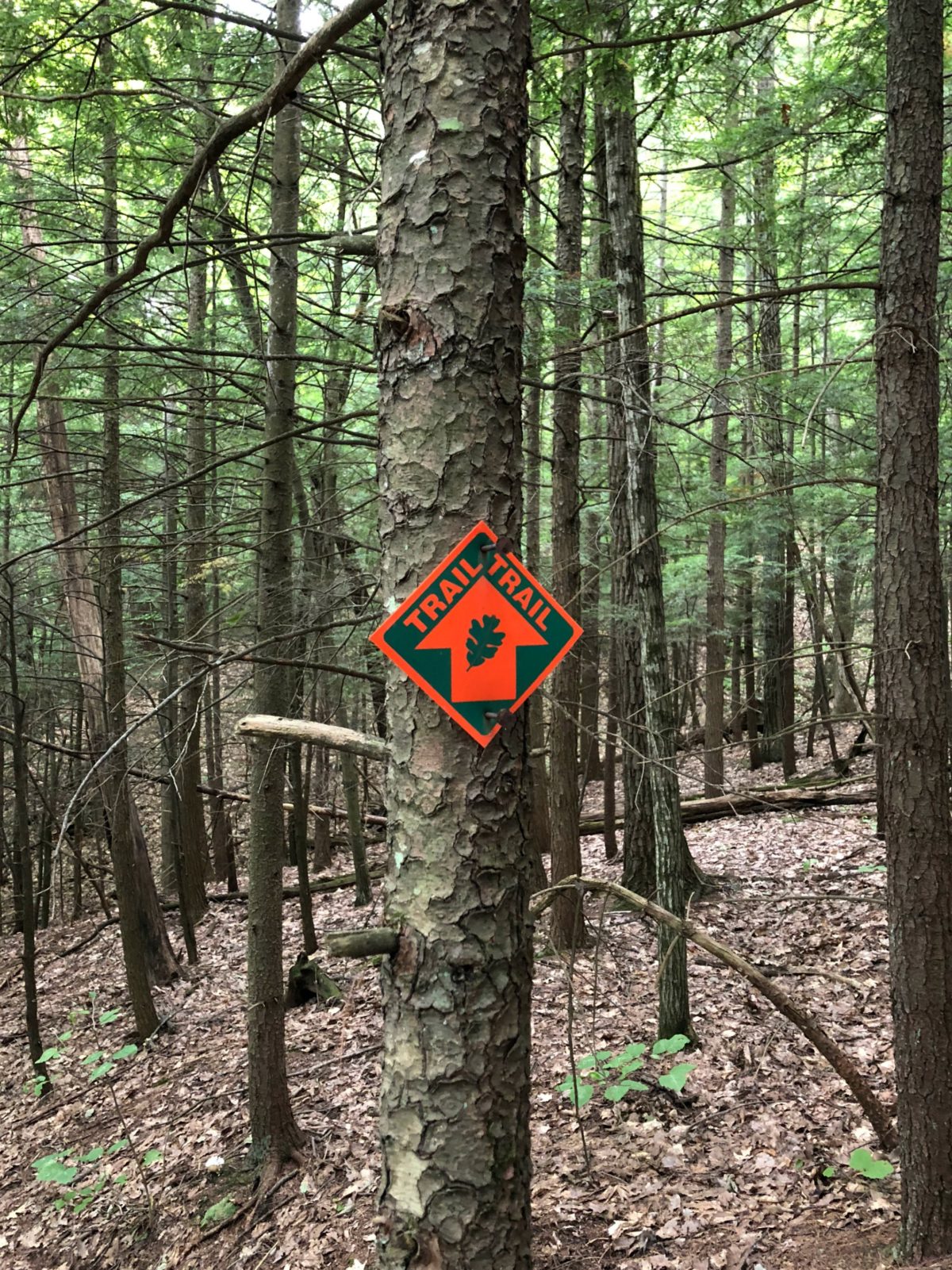 Moccasin Kill Trail Marker