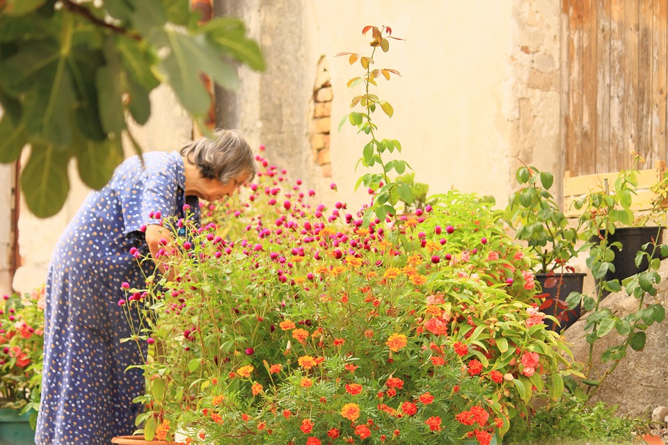 Elderly Gardening