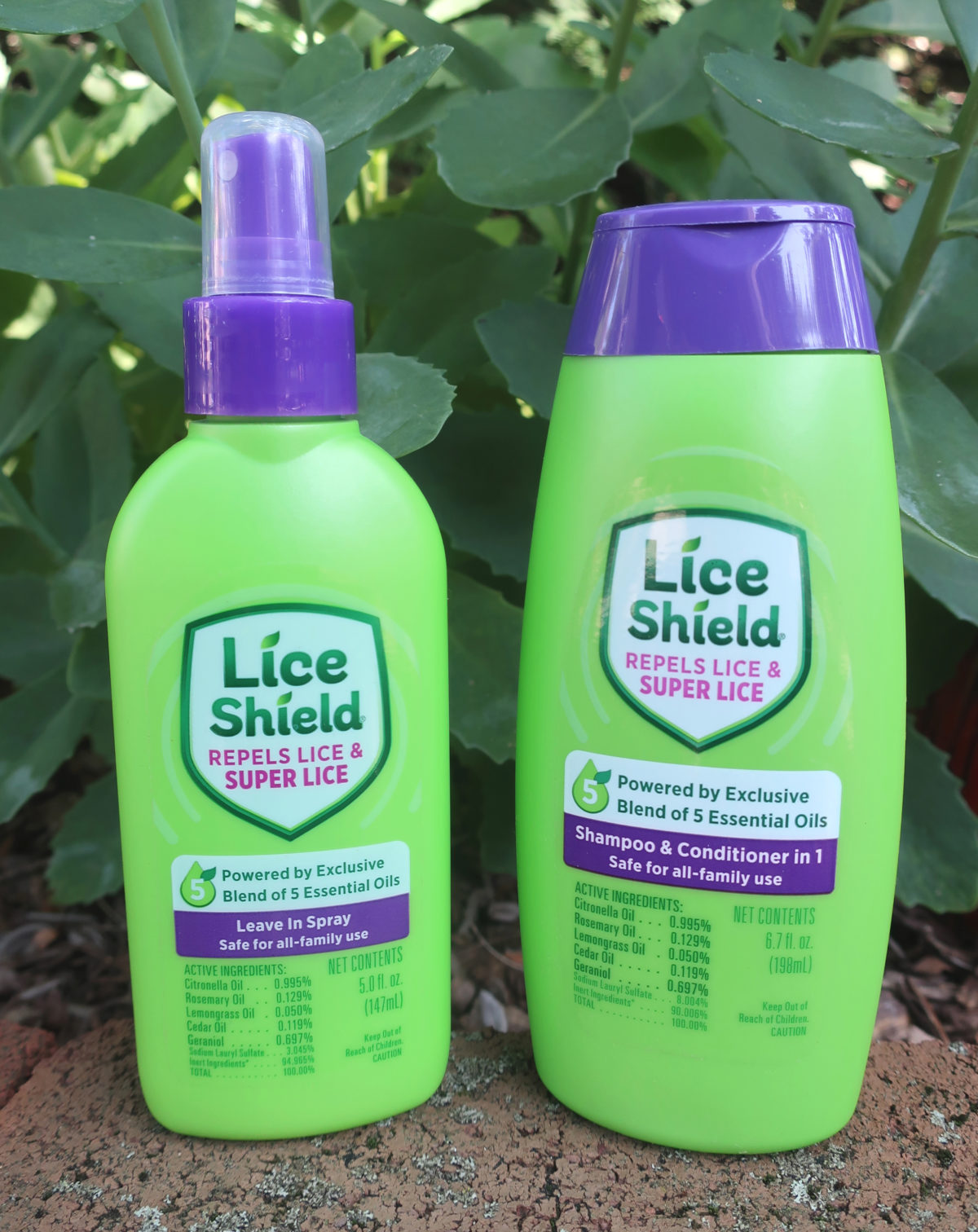 BacktoSchool Lice Protection with Lice Shield A Nation of Moms